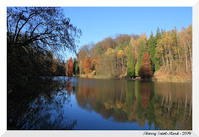 Derni&egrave;res couleurs de l'automne
