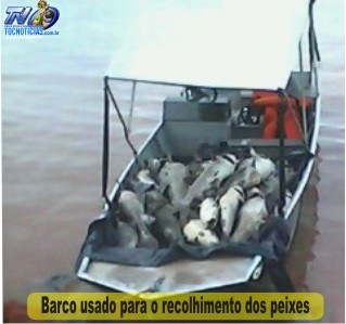 [barcopeixes[5].jpg]