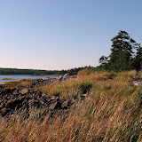 Another view from Petit Manan