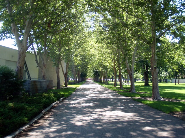 [2009_June160013.jpg]