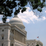 Washington D.C.