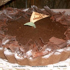 Nº103: Tarta de chocolate.