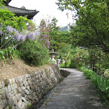 Fujikiri festival 2010
