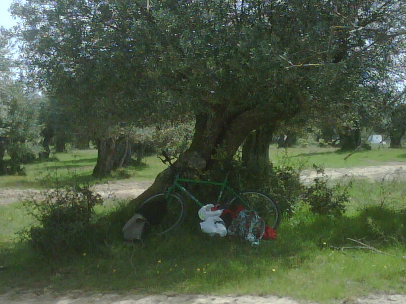 [IMG00084-20110407-1200[2].jpg]