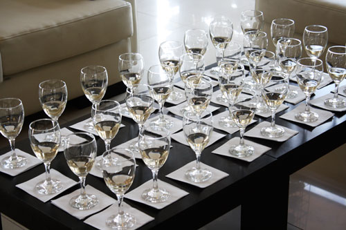 Malbec, Glorious Malbec Photo wine tasting argentina