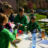 Flessen schieten