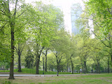 200305061622CentralPark.JPG