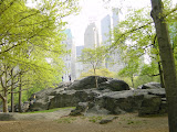 200305061628CentralPark.JPG