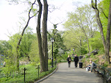 200305061703CentralPark.JPG
