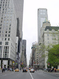 200305051428.JPG