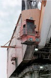 img22.jpg
