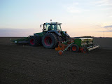 818_planting2.jpg
