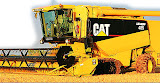 Cat_485_2.jpg