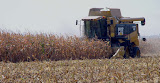 claas450_1.jpg
