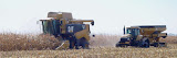 claas450_3.jpg