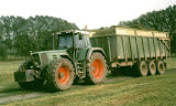F824.jpg