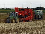 515_potato_1.jpg
