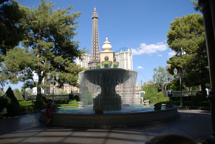 DSC_0202.JPG