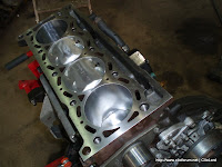 P1010017.jpg