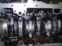 P1010040.jpg