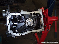 P1010045.jpg