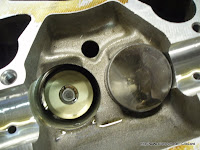 P1010066.jpg
