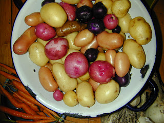 DSCN0031.JPG