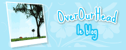 about blog