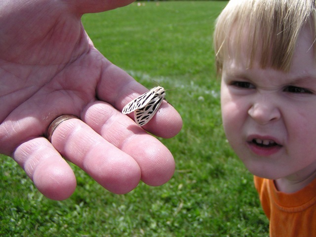 [A soccer bug[4].jpg]