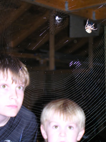 [Watching the Web Builder 2[4].jpg]