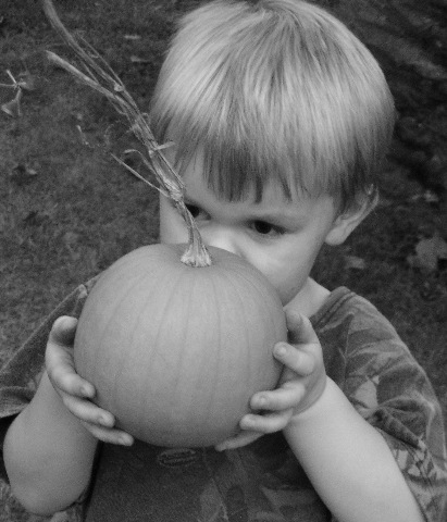 [BlackandWhiteAutumnPeekABoo23.jpg]