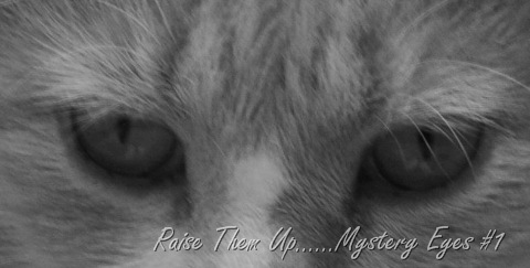 [eye 4[27].jpg]