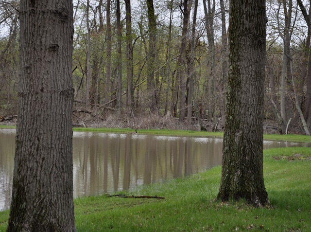 [full pond[7].jpg]