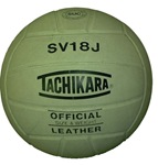 volleyball photo