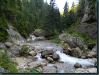 DSCN8976