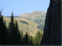DSCN8973