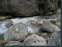 DSCN8979