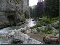 DSCN8978