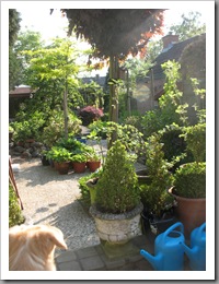 IMG_8048 IMG_8048