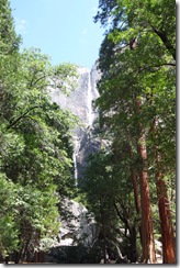 DSCF0724