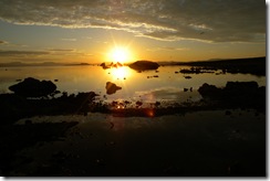 DSCN0699