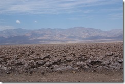 DSCF0885