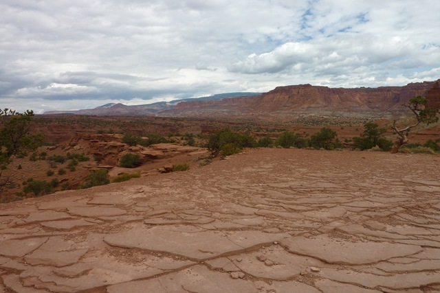 [P1000715[2].jpg]
