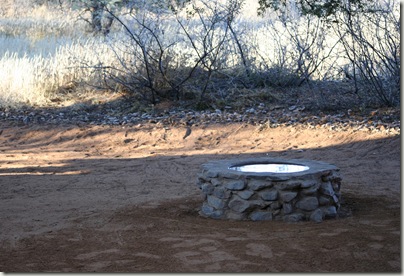 Birdbath Attracts Wildlife at Witsand Kalahari