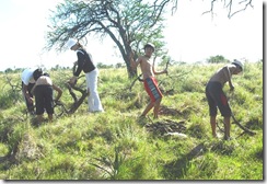 campamento 132 campamento 132