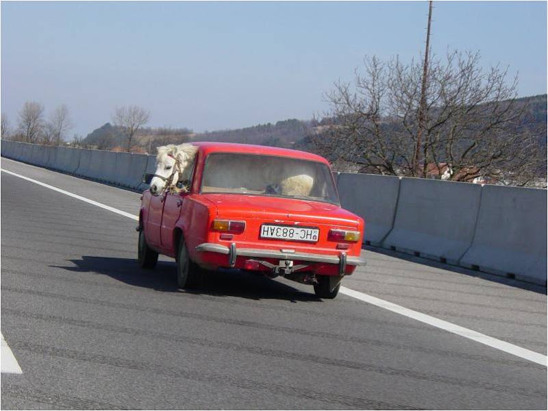 Imagen3.jpg
