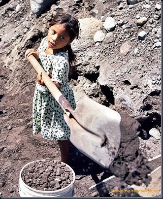dia mundial contra o trabalho infantil 7