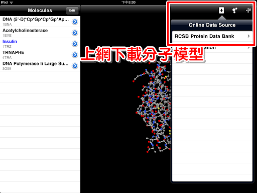 至 RCSB Protein Data Bank 下載分子模型