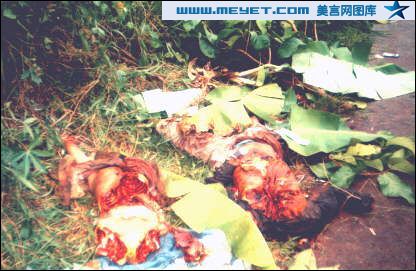 1998印尼暴动