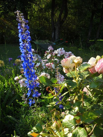 [DSCN31653.jpg]